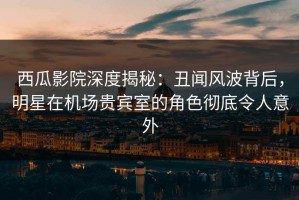 西瓜影院深度揭秘：丑闻风波背后，明星在机场贵宾室的角色彻底令人意外