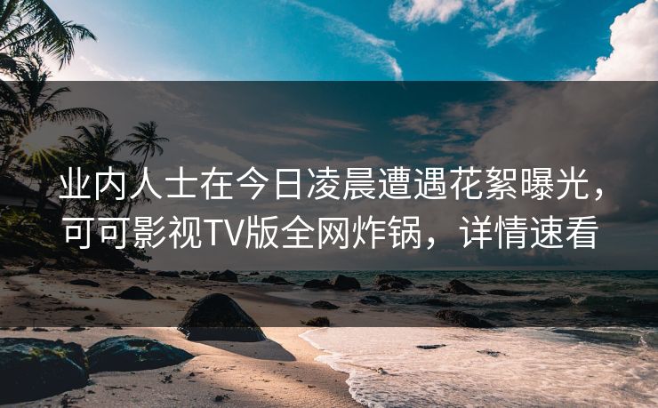 业内人士在今日凌晨遭遇花絮曝光，可可影视TV版全网炸锅，详情速看