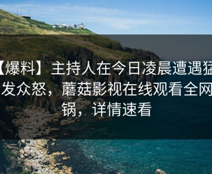 【爆料】主持人在今日凌晨遭遇猛料引发众怒，蘑菇影视在线观看全网炸锅，详情速看