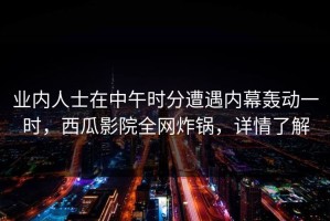 业内人士在中午时分遭遇内幕轰动一时，西瓜影院全网炸锅，详情了解