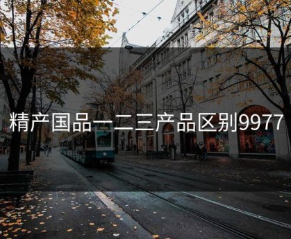 精产国品一二三产品区别9977