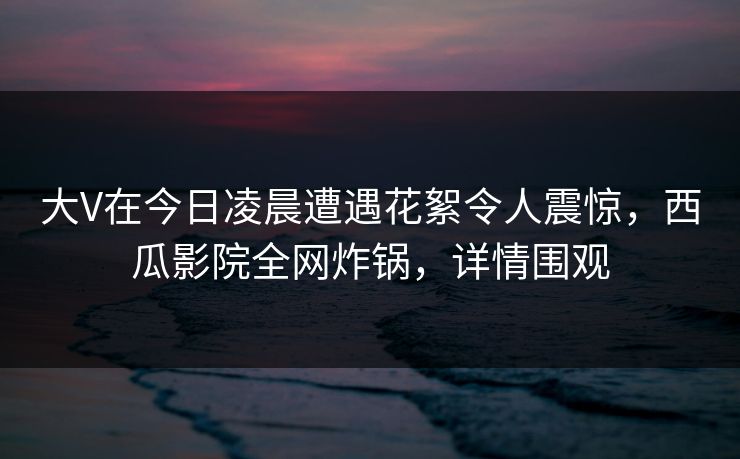 大V在今日凌晨遭遇花絮令人震惊，西瓜影院全网炸锅，详情围观