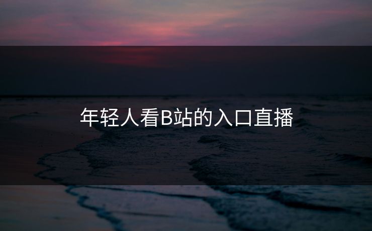 年轻人看B站的入口直播